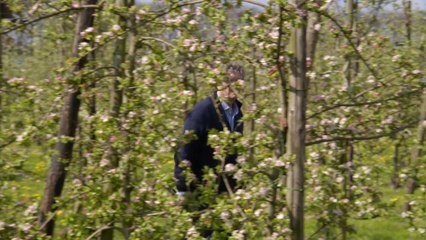 Savoureuses balades en Hainaut