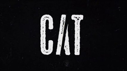 Cat E02 Web Series