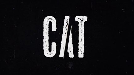 Cat E03 Web Series