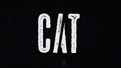 Cat E07 Web Series Episode