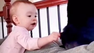 Naughty kittens ||Cute Cats #babies|| baby boy with Naughty 
