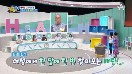 배 나오면 '내장지방' 의심! 갱년기 여성에게 더 위험한 내장지방(ㅜ.ㅜ)