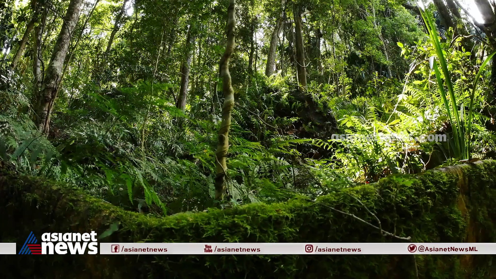 വമ്പൻ ജീവികളുടെ ഭൂമി; കാണാം പ്രപഞ്ചവും മനുഷ്യനും 