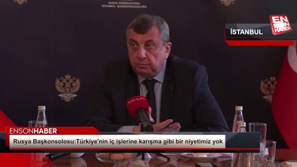 Rusya Başkonsolosu: Türkiye'nin iç işlerine karışma gibi bir niyetimiz yok