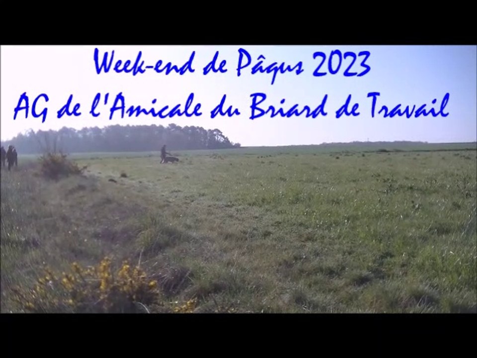 2023- Timitz pistage