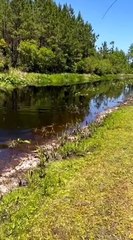 Il vient pêcher pour la première fois à cet endroit mais ça ne plait pas à un habitué