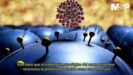 ¿Cómo funcionan las vacunas de ácido nucleico - ADN? - #ExclusivoMSP