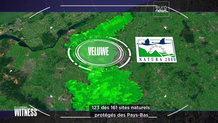 Un plan contre l'azote se heurte à la colère des éleveurs aux Pays-Bas