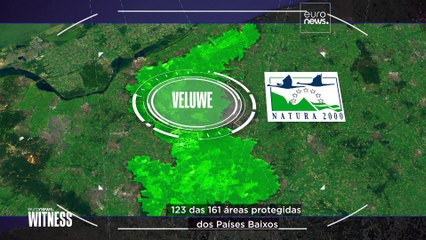 Contra UE e governo: Agricultores neerlandeses contestam lei das emissões