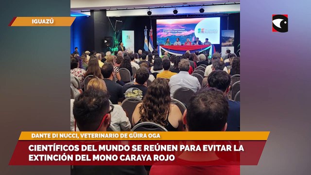 Congreso de Biodiversidad en Iguazú | Científicos del mundo se reúnen para evitar la extinción del mono caraya rojo