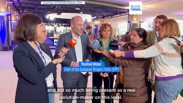 Dispute over Doñana park prompts scathing accusations between conservatives and socialists