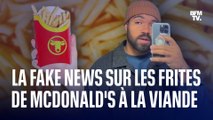 Les frites McDo contiendraient de la viande ? C’est la rumeur qui circule sur les réseaux sociaux