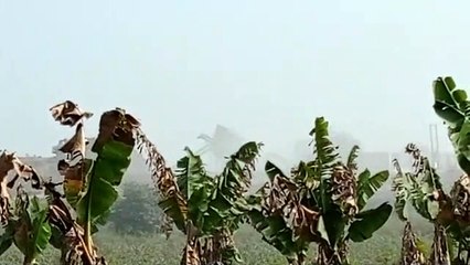 Mineral department declared the farmer as a habitual complainant