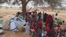 تحذيرات أممية من حدوث كارثة مجاعة تطال الجميع في السودان