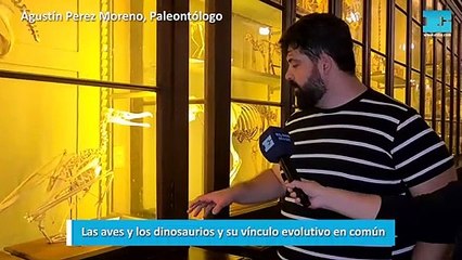 "Susana Giménez tenía razón: los dinosaurios están vivos"