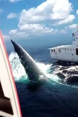 Exciting Adventure Movie Clips | Watch Action-Packed Scenes on Dailymotion 🎬 - thumbnail