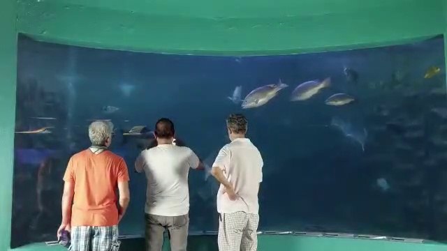 ext-parque-marino-puntarenas-cumple-21-años-270423