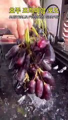 남은 블랙 사파이어포도로 만들면 좋을 것 같은 디저트를 추천해주세요 (맛있는 호주 프리미엄포도 출시) #청담언니 #틱톡푸드 #GrwonInGoodNature #호주 #호주포도 #delicious Paid partnership