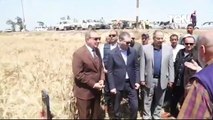 محافظ كفر الشيخ يشهد افتتاح موسم حصاد القمح ويدير حواراً مع المزارعين