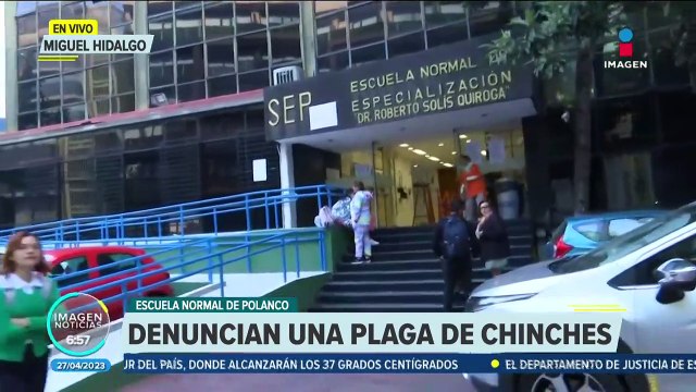Denuncian plaga de chinches en escuela ubicada en Polanco, CDMX