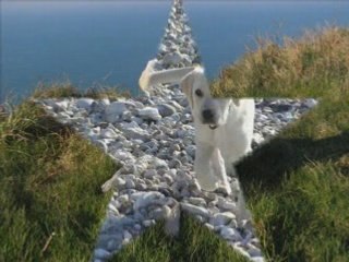 Les plus belles photos de Cali