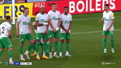 Everton vs Newcastle United Extended Highlights