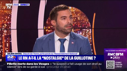 Julien Odoul (RN): "On entretient des détenus étrangers dans nos prisons"