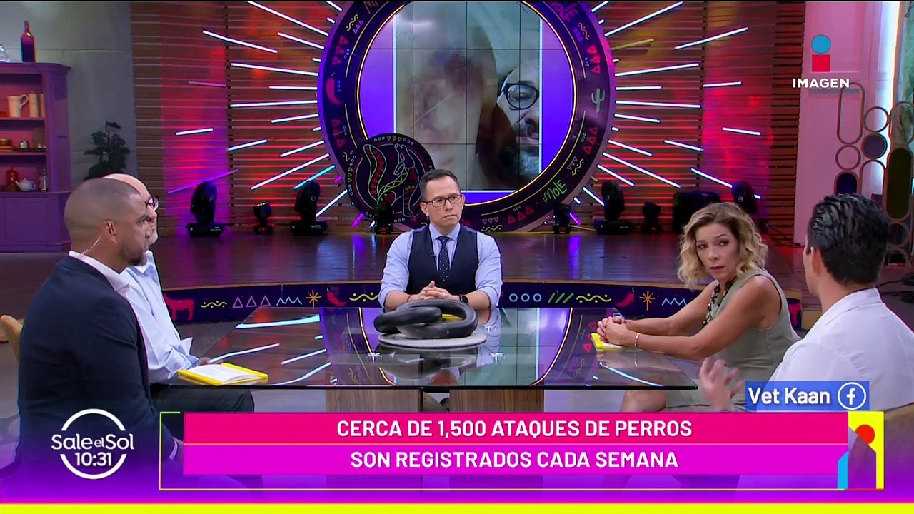 ¿Cómo actuar si mi perro me ataca?