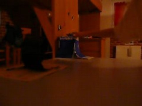 finger skate Imposible sur le new rampe