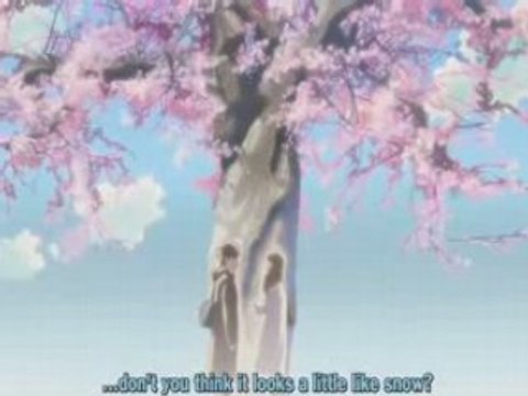 5 centimeters per second Amv- Never Too Late