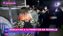 En Michoacán rescatan a 32 perritos de un inmueble