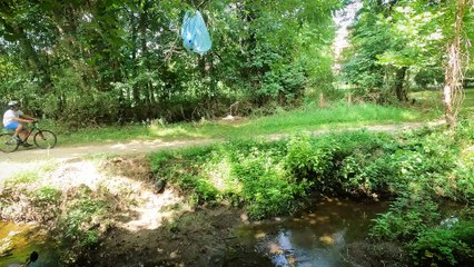Chase's Birthday Surprise in the WOODS! (FV Family Simpsons Donuts Vlog)