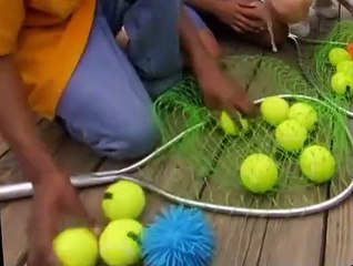 Fetch! with Ruff Ruffman Fetch with Ruff Ruffman S03 E020