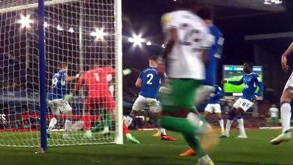 Everton 1 Newcastle United 4 _ Premier League Highlights