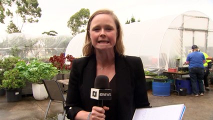 Government urged to invest in climate proofing city fringes