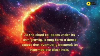 Are there different types of black holes
