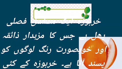 Kharbooza key faiday aur noqsan/health yips