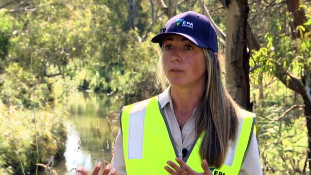 Melbourne scientists deploy sensors to detect pollution in effort to stop chemicals entering Darebin Creek