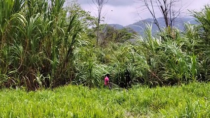LA PAILLE BRACES FOR FLOODS