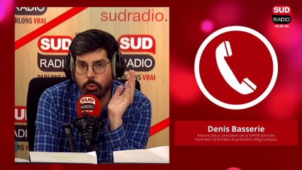 Pyrénées-Orientales : les cultures d’abricots en danger à cause de la sécheresse