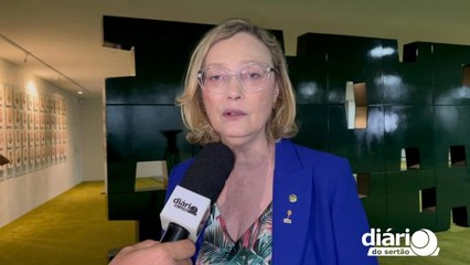 Maria do Rosário explica que objetivo do PL das Fake News é combater grupos criminosos nas redes.
