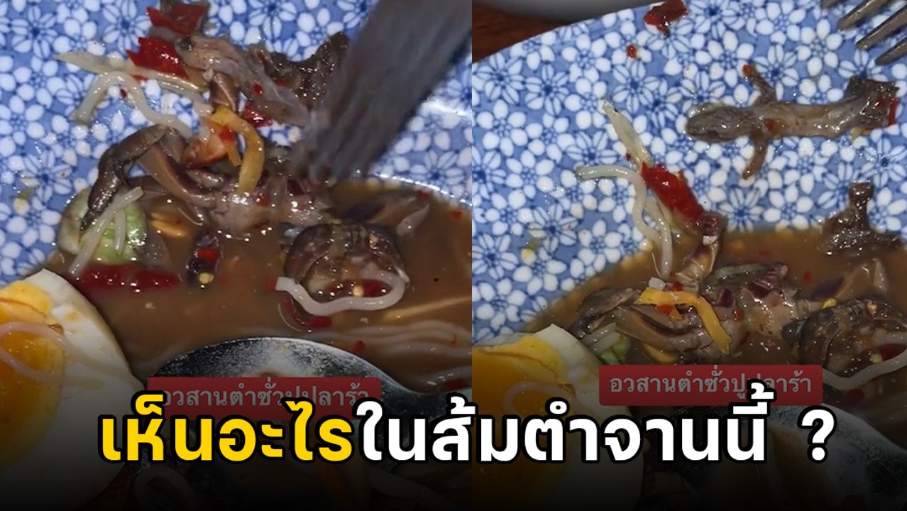 อวสานตำปูปลาร้า มองเผิน ๆ อย่างแซ่บ แต่จ้องดี ๆ อ้วกแทบพุ่ง