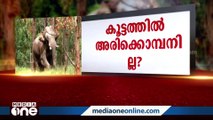 കാട്ടാനക്കൂട്ടത്തില്‍ അരിക്കൊമ്പനില്ല;ഉദ്യോഗസ്ഥര്‍ 301 കോളനിയില്‍ നിന്നും മടങ്ങി