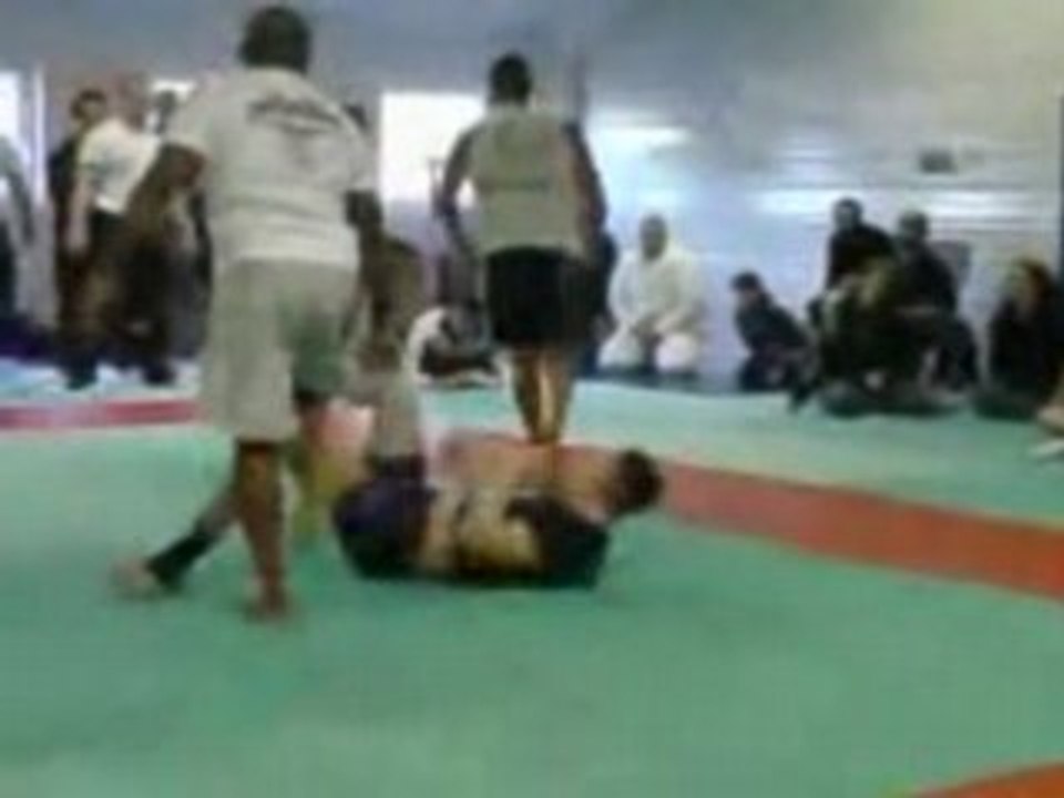 Black Anaconda Highlight