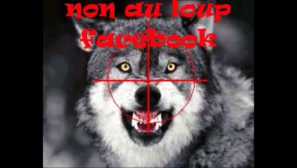 8.Quelle nourriture souhaitons nous pour demain