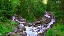 1 Hour of Amazing Beauty: Mountain River with Waterfalls