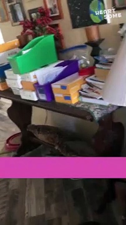 Dad's Oscar-Level Acting To Surprise Mom On Birthday || Heartsome