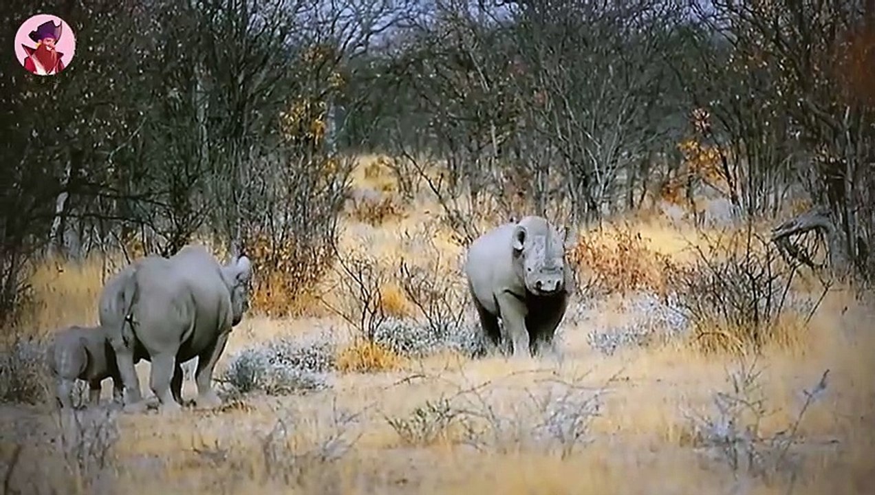 15 grandiose und erschreckende Momente von Tiere AUSSER KONTROLLE!