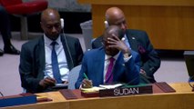 مخاوف متزايدة لدول جوار السودان من اتساع رقعة المواجهة