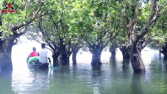 Shark Attack Man In Sea Shark zone Shark Fish Attack at Fishing Time Fun Made Movie